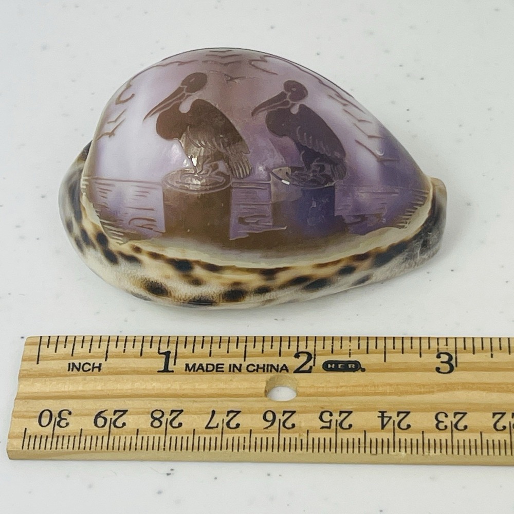 Vintage Seal Key Largo Souvenir Carved Tiger Cowrie Shell - Picture 7 of 12